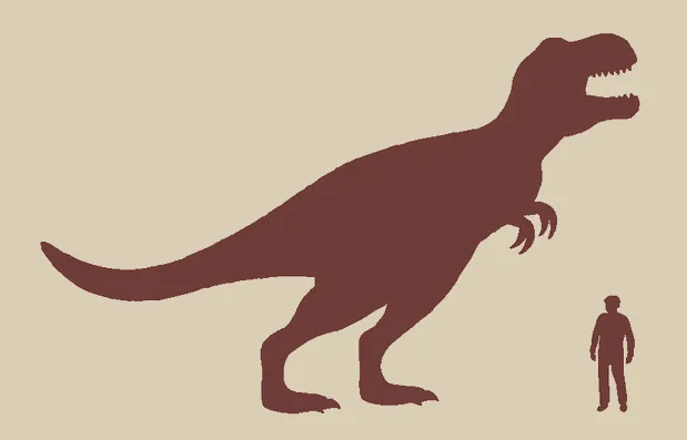 Silhueti: T-rex in odrasla oseba, visoka 1,8 m