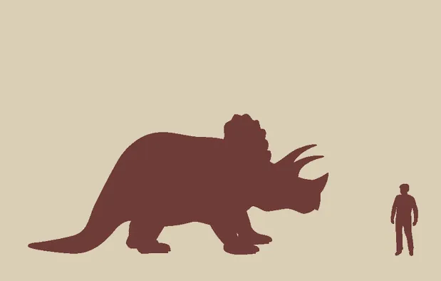 Silhueti: Triceratops in odrasla oseba, visoka 1,8 m