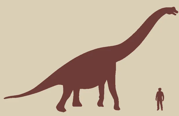Silhueti: Apatozaver in odrasla oseba, visoka 1,8 m