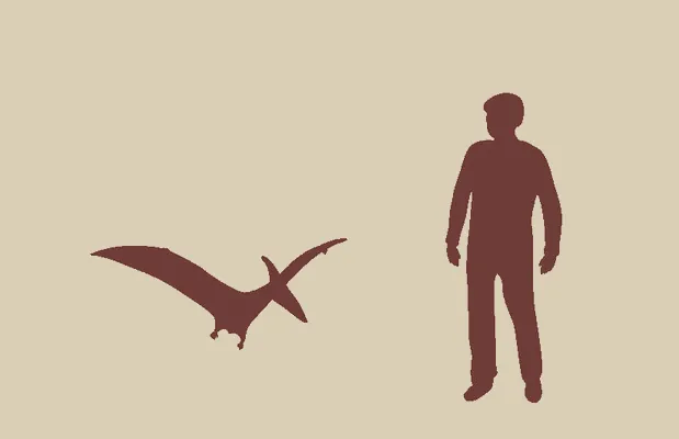 Silhueti: Pterodaktil in odrasla oseba, visoka 1,8 m